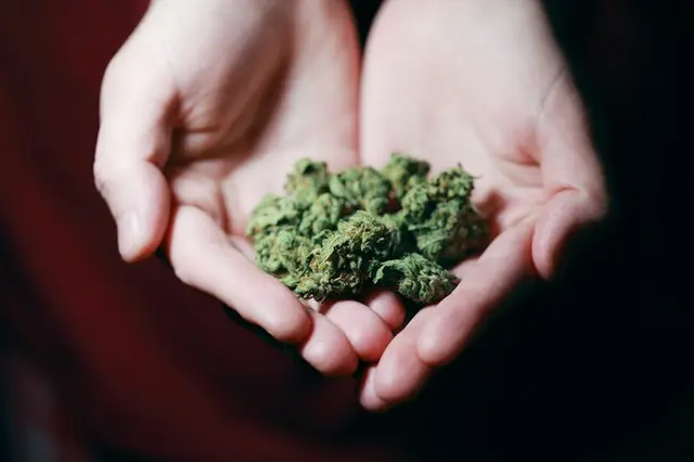 Medical Marijuana in Boca Raton