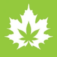 Brands,  Businesses, Places & Professionals The House of Cannabis in Toronto ON