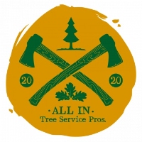 All In Tree Service of Woodstock