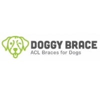 Brands,  Businesses, Places & Professionals Doggy Brace in Scottsdale AZ