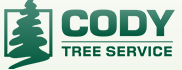 Stump Grinding in Kelowna - Cody Tree Service