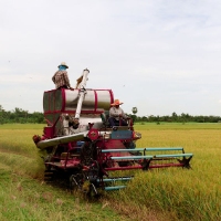 Brands,  Businesses, Places & Professionals Cen-Tex Seed Inc in Hillsboro TX