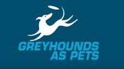 Greyhounds As Pets