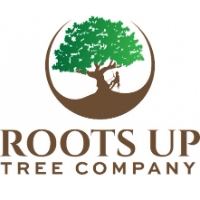 Brands,  Businesses, Places & Professionals Roots Up Tree Company in Lafayette CO