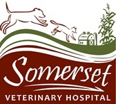 Somerset Veterinary Hospital