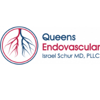 Brands,  Businesses, Places & Professionals Queens Endovascular - American Endovascular in Astoria NY