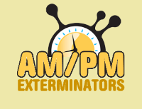 Brands,  Businesses, Places & Professionals AMPM Exterminators in Renton WA