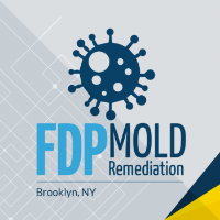 FDP Mold Remediation of Brooklyn