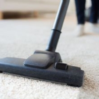 Brands,  Businesses, Places & Professionals Affordable Carpet Care in Greensboro NC