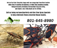 Brands,  Businesses, Places & Professionals All PRO Pest Control in Layton UT