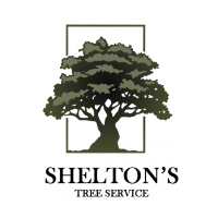 Brands,  Businesses, Places & Professionals Shelton's Tree Service in Knoxville TN