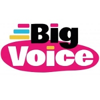 Big Voice Ltd