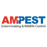 Ampest Exterminating & Wildlife Control