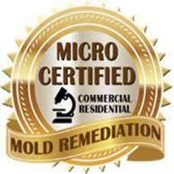 Certified Mold Removal