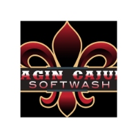 Brands,  Businesses, Places & Professionals Ragin Cajun Soft Wash in Altamonte Springs FL