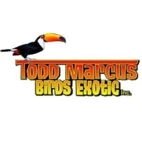 Todd Marcus Birds Exotic