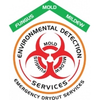 Emergency Dryout Services