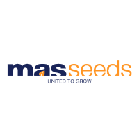 MAS Seeds Germany