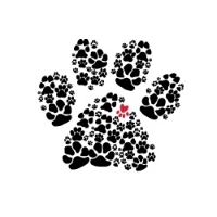 Wounded Paw Project