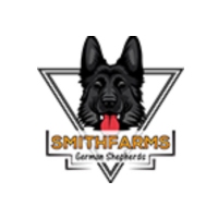 Brands,  Businesses, Places & Professionals SmithFarms German Shepherds in Badger MN