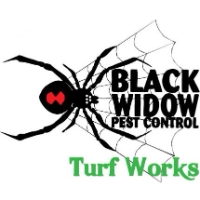 Black Widow Pest Control