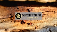 Brands,  Businesses, Places & Professionals Santee Pest Control Company in Santee CA