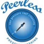 Brands,  Businesses, Places & Professionals Peerless Pressure Washing Inc. in Valrico FL