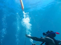 Brands,  Businesses, Places & Professionals Blue Marlin Dive Gili Trawangan in Lombok,West Nusa Tenggara 