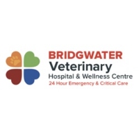 Bridgwater Veterinary Hospital & Wellness Centre