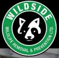 Brands,  Businesses, Places & Professionals Wildside Wildlife Removal & Prevention Ltd. in Burlington ON