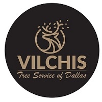 Brands,  Businesses, Places & Professionals Vilchis Tree Service of Dallas in Dallas GA