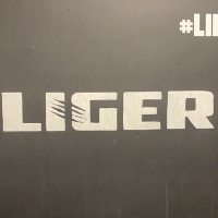 CrossFit Liger