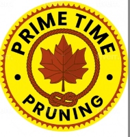 Brands,  Businesses, Places & Professionals Primetime Pruning in Meridian ID