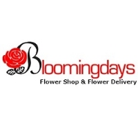 Brands,  Businesses, Places & Professionals Bloomingdays Flower Shop & Flower Delivery in New Port Richey FL