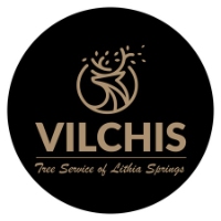 Vilchis Tree Service of Lithia Springs