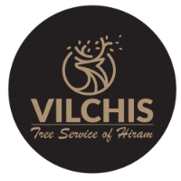 Brands,  Businesses, Places & Professionals Vilchis Tree Service of Hiram in Hiram GA