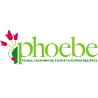 Brands,  Businesses, Places & Professionals Phoebe Floral Greenhouse, Florist & Flower Delivery in Allentown PA