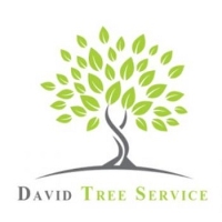 Brands,  Businesses, Places & Professionals David Tree Service LLC in Manassas VA