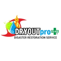 DRYOUTpro PLUS, Inc.