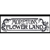 Brands,  Businesses, Places & Professionals Moreton's Flowerland in Natchez MS