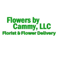 Brands,  Businesses, Places & Professionals Flowers by Cammy, LLC Florist & Flower Delivery in Waukesha WI