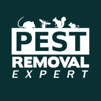 Brands,  Businesses, Places & Professionals Pest Removal Expert in Bournemouth England