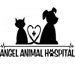 Angel Animal Hospital