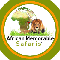 Brands,  Businesses, Places & Professionals African Memorable Safaris in Mombasa Mombasa County