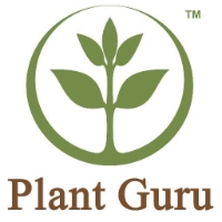 Brands,  Businesses, Places & Professionals Plant Guru in Plainfield NJ