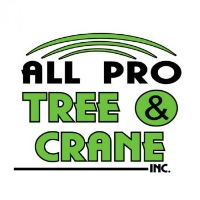 Brands,  Businesses, Places & Professionals All Pro Tree & Crane, Inc. in Zirconia NC