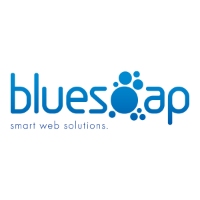 Brands,  Businesses, Places & Professionals BlueSoap Website Designers in Gold Coast QLD