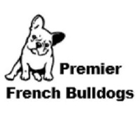 Brands,  Businesses, Places & Professionals Premier French Bulldogs in Chandler OK