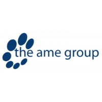 The AME Group