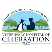 Veterinary Hospital of Celebration